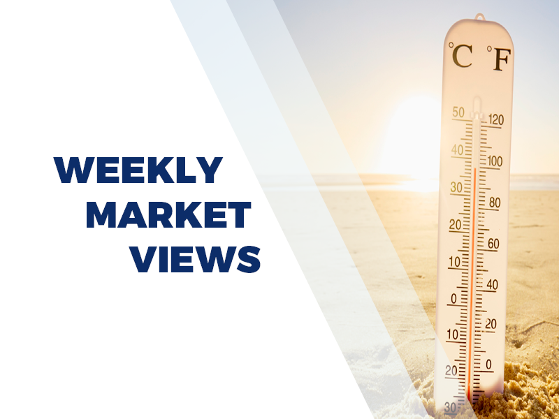 Monthly news and views covering July 2026 hero image