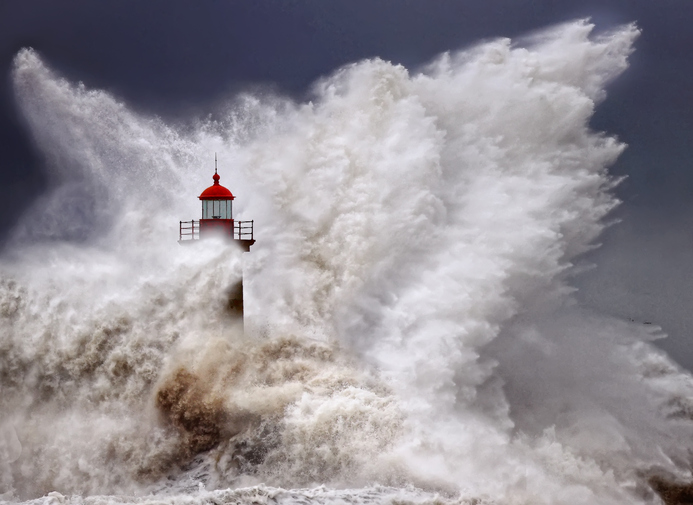 CIO's Market Watch - October hero image