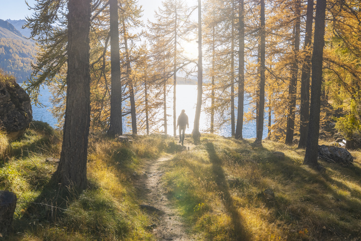 Perspectives - Are we out of the woods? hero image